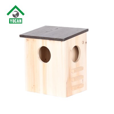 Bagaimana cara memilih cat tidak beracun untuk Rumah Tupai?